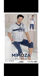 Piżama męska (M-3XL)
