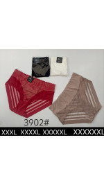 Majtki damskie (3XL-6XL)