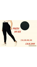 Leginsy damskie (2XL-5XL)
