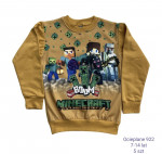 Bluza chłopięca (7-14)
