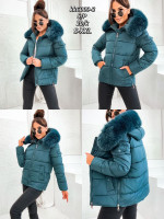 Kurtka damska (S-2XL)