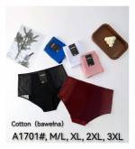 Majtki damskie (M-3XL)