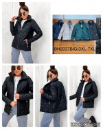 Kurtka damska (3XL-7XL)