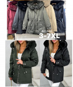Kurtka damska (3XL-7XL)