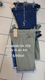 Spodenki męskie (M-4XL)