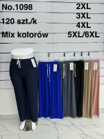 Spodnie damskie (2XL-6XL)