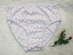 Majtki damskie (3XL-4XL)