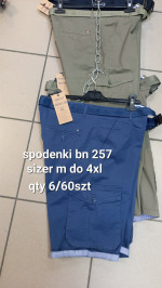 Spodenki męskie (M-4XL)