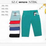 Spodenki damskie (2XL-9XL)