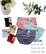 MAJTKI DAMSKIE (XL-4XL)