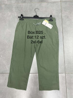 SPODENKI DAMSKIE (2XL-6XL)