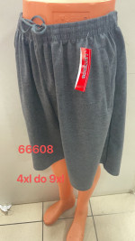 Spodenki męskie (4XL-9XL)