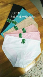 Majtki damskie (3XL-6XL)