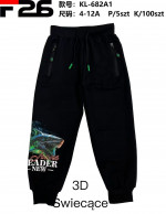 Spodnie chłopięce (4-12)