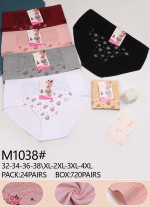 Majtki damskie (XL-4XL)