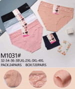 Majtki damskie (XL-4XL)
