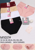 Majtki damskie (XL-4XL)