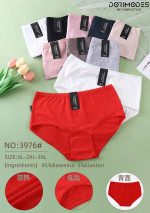 MAJTKI DAMSKIE (XL-3XL)