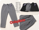Spodnie męskie (5XL-9XL)